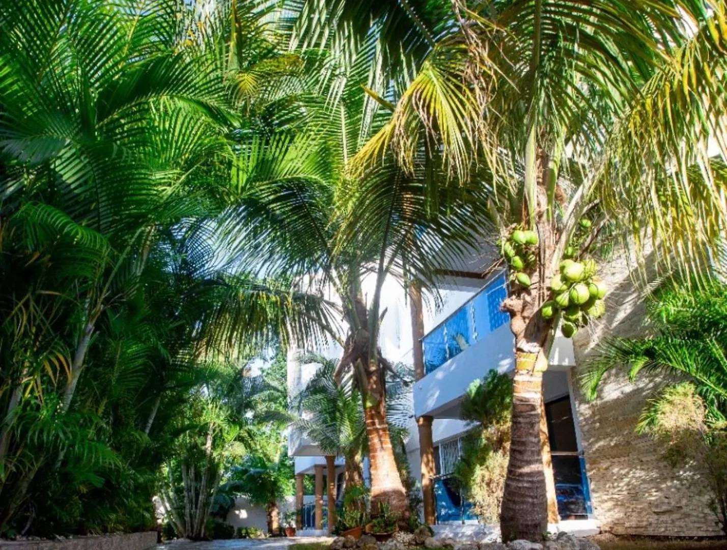 Fully Equipped 2Br Aptdt5Mins To The Beach Sosúa
